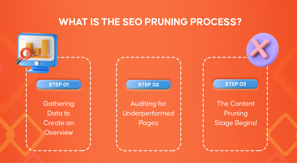 What Is The SEO Pruning Process | INQUIVIX